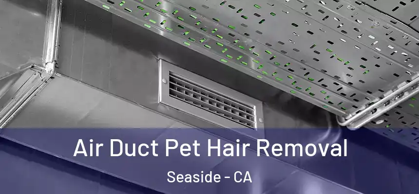  Air Duct Pet Hair Removal Seaside - CA