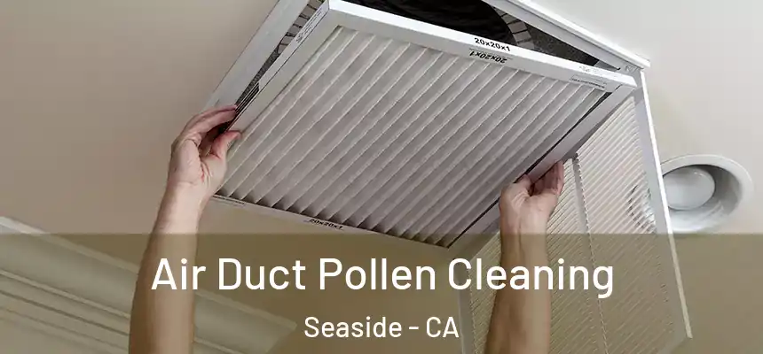  Air Duct Pollen Cleaning Seaside - CA