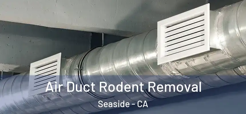  Air Duct Rodent Removal Seaside - CA