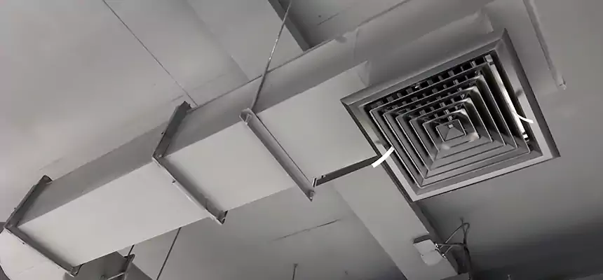 Our Pest Removal From Ducts Services in Seaside, CA