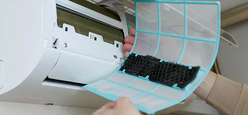 Gentle Ductwork Odor-Control Pet Dander Duct Cleaning in Seaside, CA