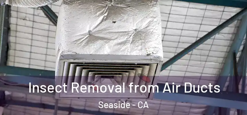  Insect Removal from Air Ducts Seaside - CA
