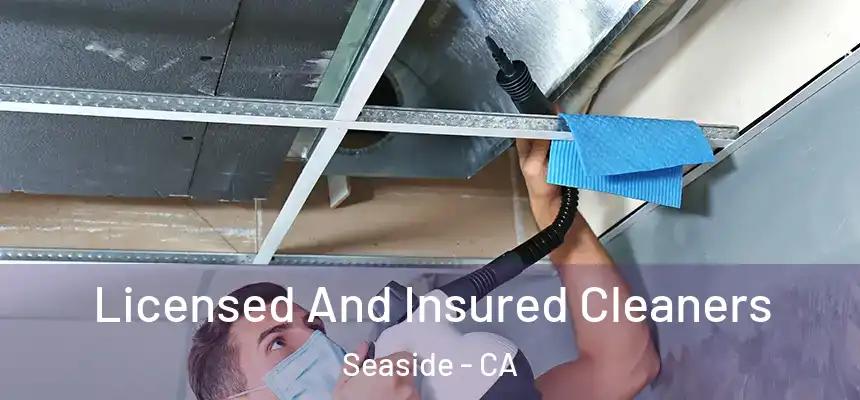  Licensed And Insured Cleaners Seaside - CA