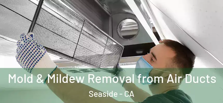  Mold & Mildew Removal from Air Ducts Seaside - CA
