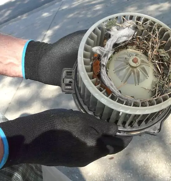 About Air Duct Rat Removal in Seaside, CA