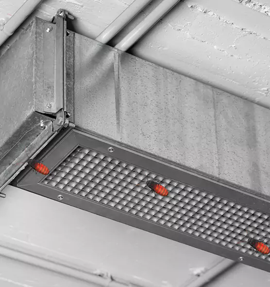 Affordable Insect Removal from Air Ducts in Seaside, CA