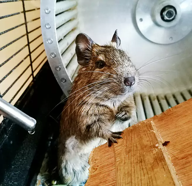 Why Homeowners & Businesses Trust Us Seaside, CA?