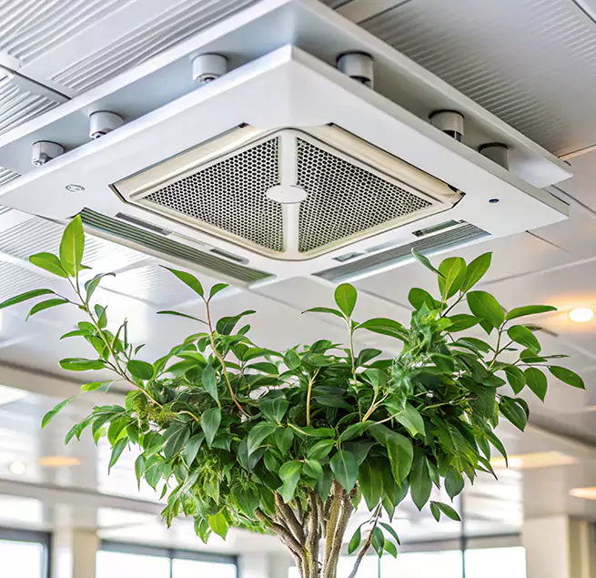 Why Homeowners & Businesses Trust Us in Seaside, CA?